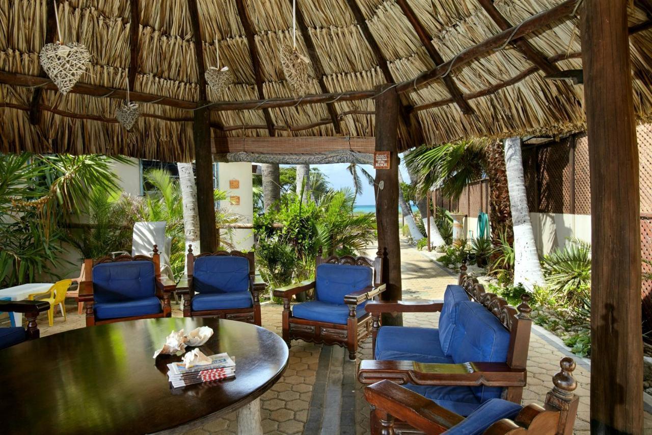 Aruba Sunset Beach Studios Palm Beach Exterior photo